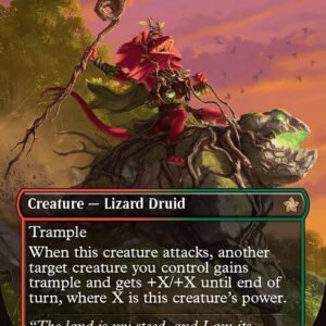 Ashroot Animist