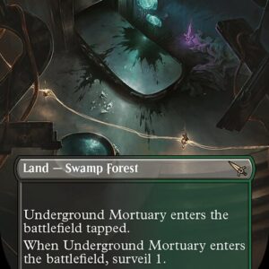 Underground Mortuary