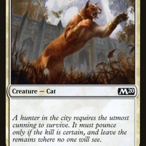 Prowling Caracal