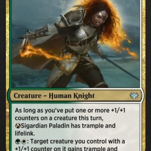 A-Sigardian Paladin