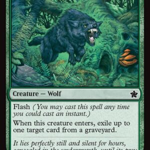 Ambush Wolf