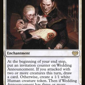 Wedding Announcement // Wedding Festivity