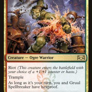 Gruul Spellbreaker