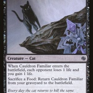 Cauldron Familiar