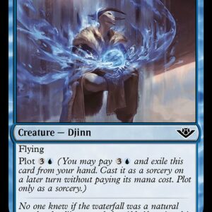 Djinn of Fool's Fall