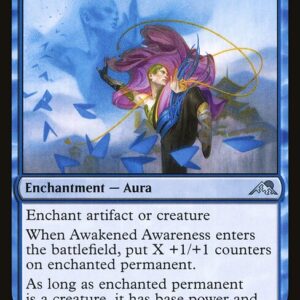 Awakened Awareness
