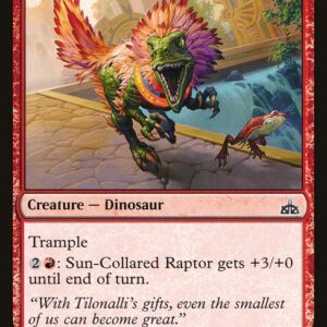 Sun-Collared Raptor