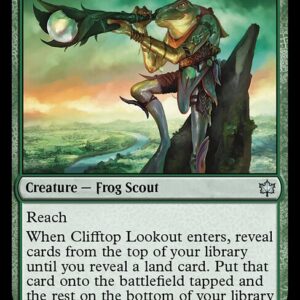 Clifftop Lookout