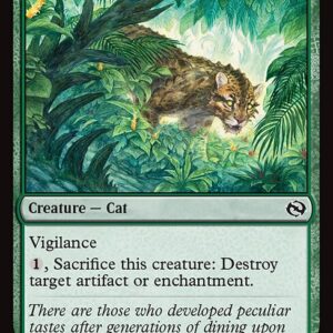 Undergrowth Leopard