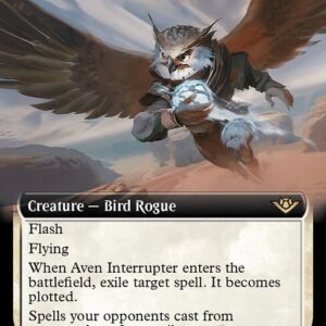Aven Interrupter