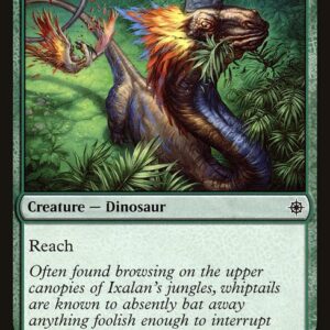 Grazing Whiptail