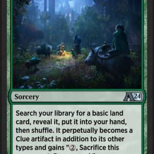 Woodland Investigation