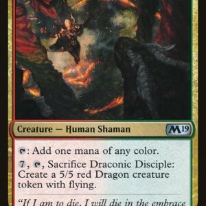 Draconic Disciple