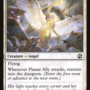 Planar Ally