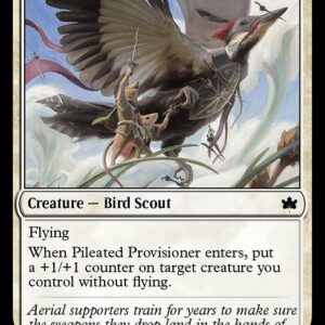 Pileated Provisioner
