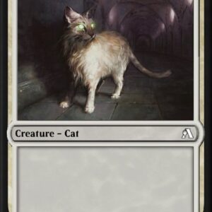 Sanctuary Cat