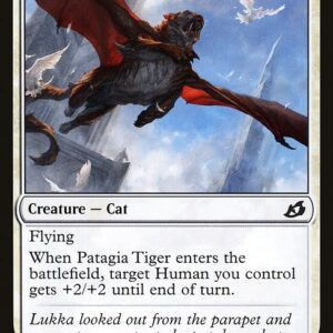 Patagia Tiger