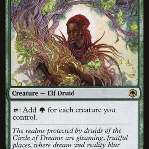Circle of Dreams Druid