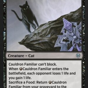 A-Cauldron Familiar