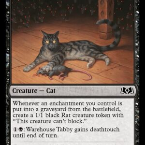 Warehouse Tabby