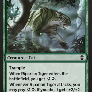 Riparian Tiger
