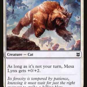 Mesa Lynx