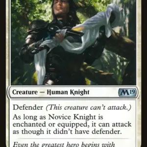 Novice Knight