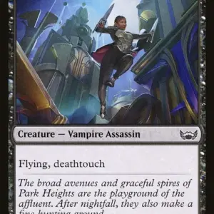 Midnight Assassin