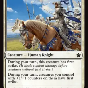 Inspiring Paladin