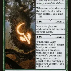 Druid Class