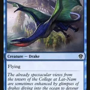 Soaring Drake
