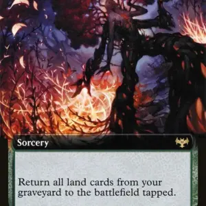 Splendid Reclamation