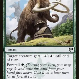 Mammoth Growth