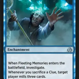 Fleeting Memories