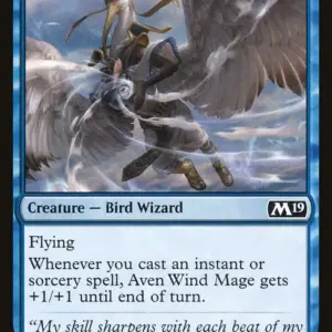 Aven Wind Mage