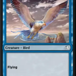 Zephyr Gull