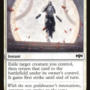 Justiciar's Portal