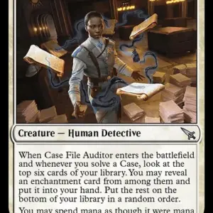 Case File Auditor