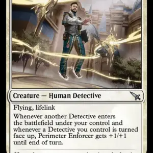 Perimeter Enforcer