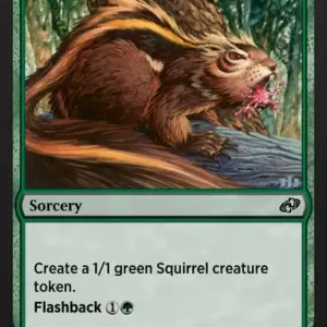 Chatter of the Squirrel