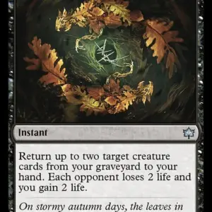 Hazel's Nocturne