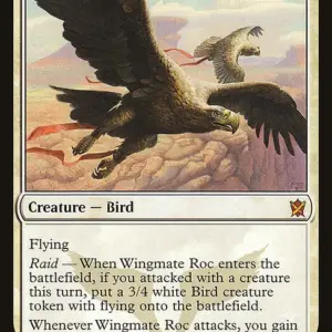 Wingmate Roc