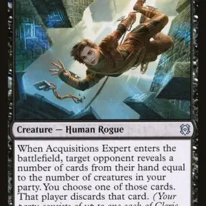 Acquisitions Expert