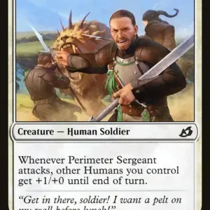 Perimeter Sergeant