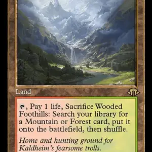 Wooded Foothills