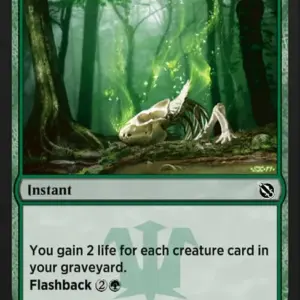 Gnaw to the Bone