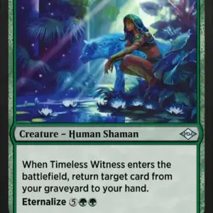 Timeless Witness