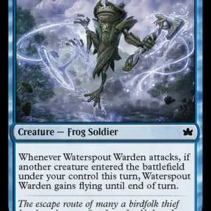 Waterspout Warden