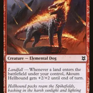 Akoum Hellhound