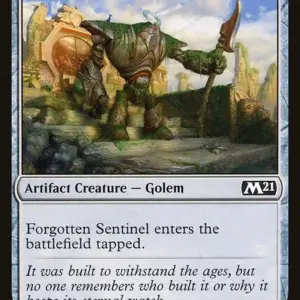 Forgotten Sentinel